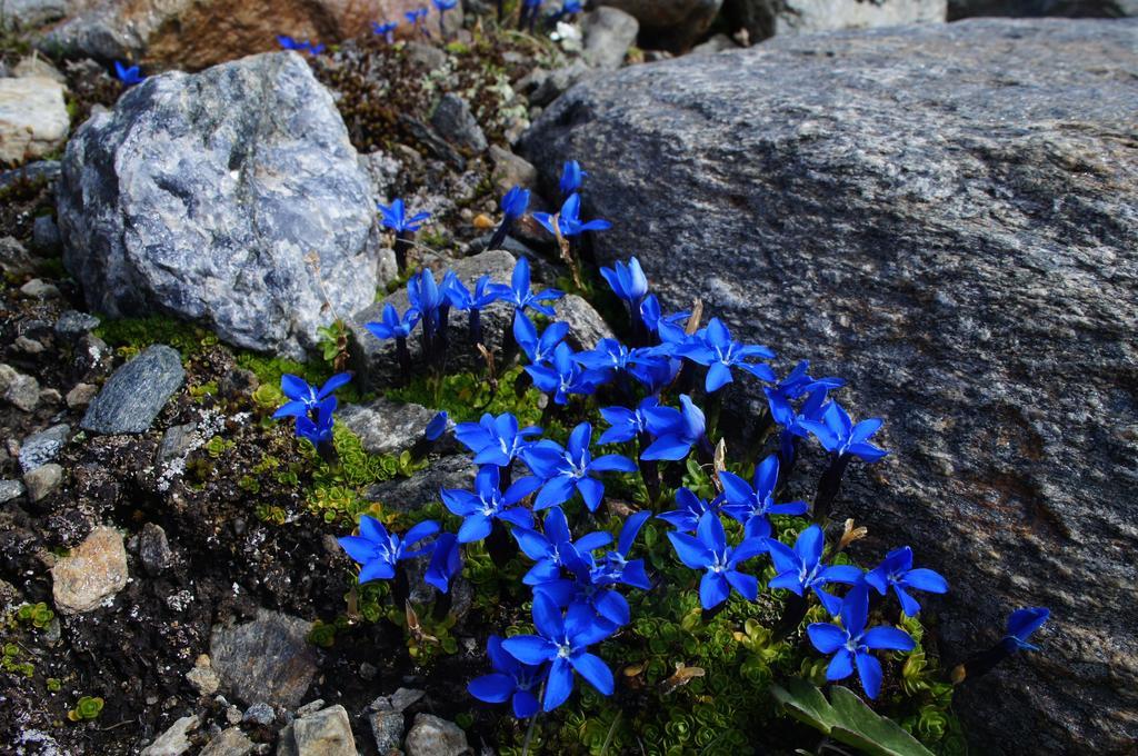 Apart Arve St. Leonhard im Pitztal Zewnętrze zdjęcie