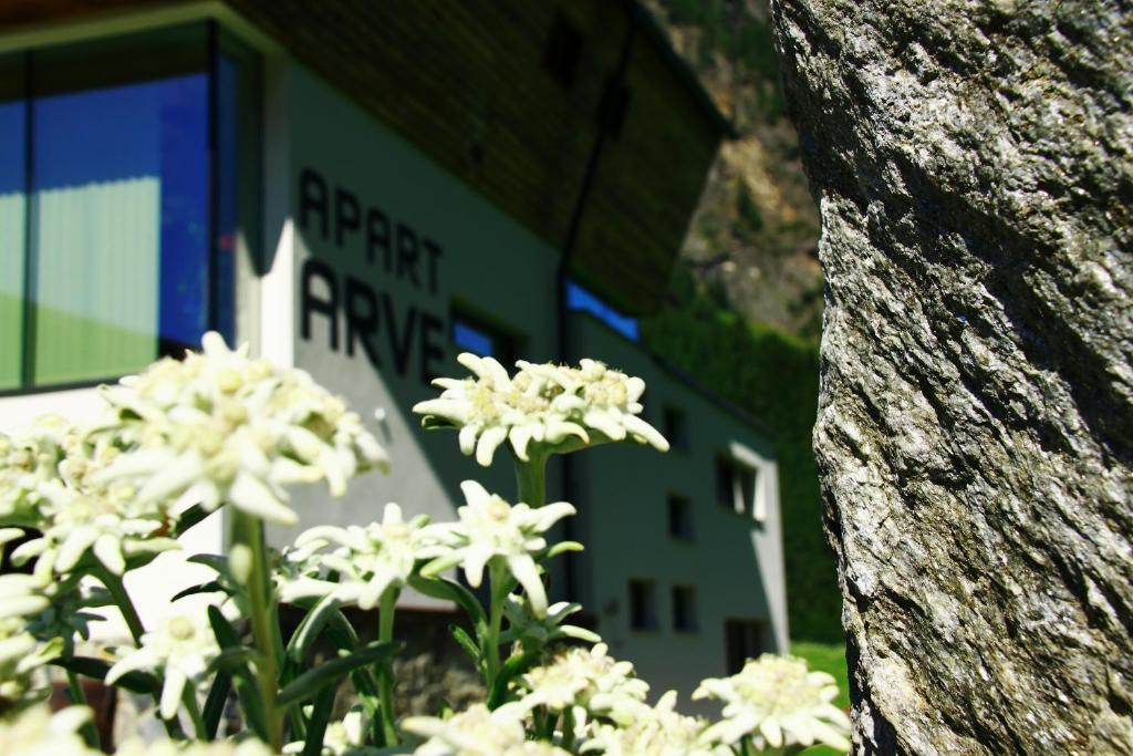 Apart Arve St. Leonhard im Pitztal Zewnętrze zdjęcie